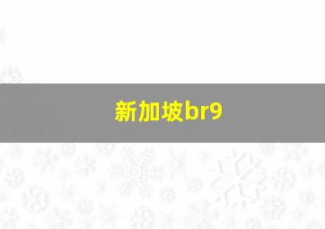 新加坡br9