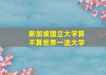 新加坡国立大学算不算世界一流大学