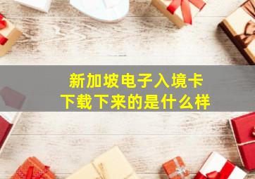 新加坡电子入境卡下载下来的是什么样