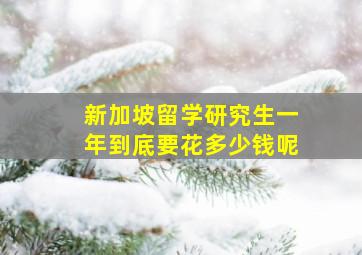 新加坡留学研究生一年到底要花多少钱呢