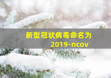 新型冠状病毒命名为2019-ncov