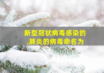 新型冠状病毒感染的,肺炎的病毒命名为