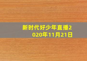 新时代好少年直播2020年11月21日