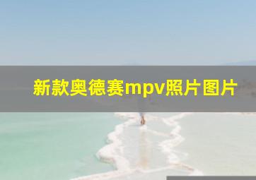 新款奥德赛mpv照片图片