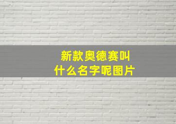 新款奥德赛叫什么名字呢图片