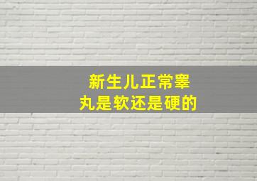 新生儿正常睾丸是软还是硬的