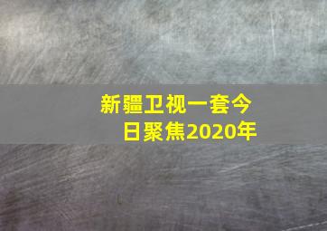 新疆卫视一套今日聚焦2020年