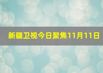 新疆卫视今日聚焦11月11日