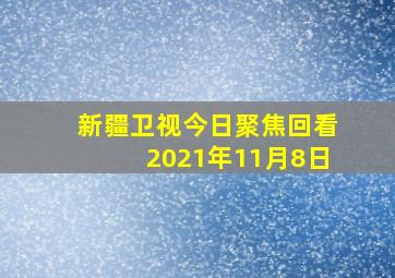 新疆卫视今日聚焦回看2021年11月8日