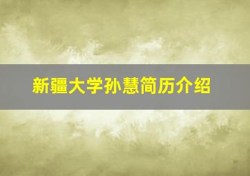 新疆大学孙慧简历介绍