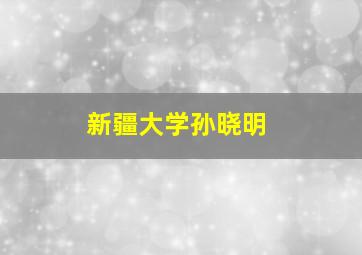 新疆大学孙晓明