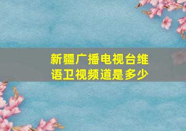 新疆广播电视台维语卫视频道是多少