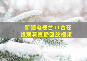 新疆电视台11台在线观看直播回放视频