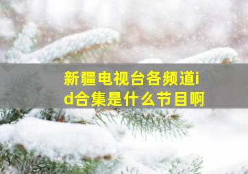 新疆电视台各频道id合集是什么节目啊