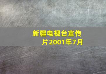 新疆电视台宣传片2001年7月