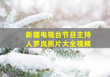 新疆电视台节目主持人罗岚照片大全视频