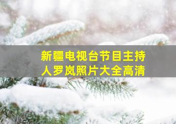 新疆电视台节目主持人罗岚照片大全高清