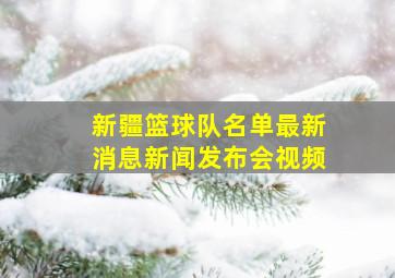 新疆篮球队名单最新消息新闻发布会视频