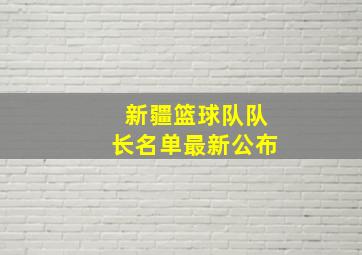 新疆篮球队队长名单最新公布