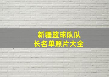 新疆篮球队队长名单照片大全