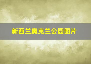 新西兰奥克兰公园图片