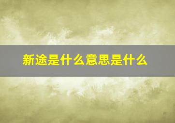 新途是什么意思是什么