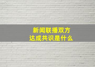 新闻联播双方达成共识是什么