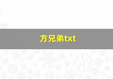 方兄弟txt