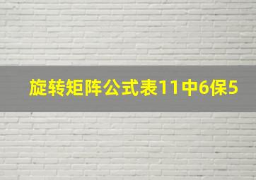 旋转矩阵公式表11中6保5