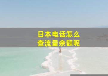 日本电话怎么查流量余额呢