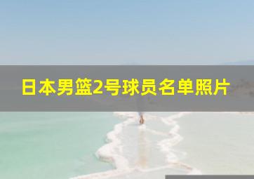 日本男篮2号球员名单照片