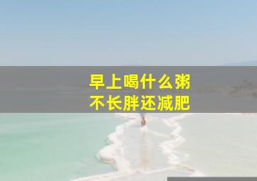 早上喝什么粥不长胖还减肥