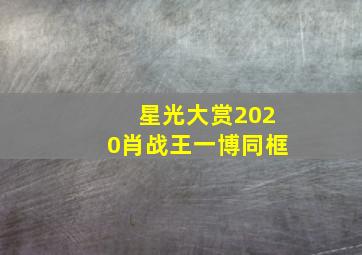 星光大赏2020肖战王一博同框