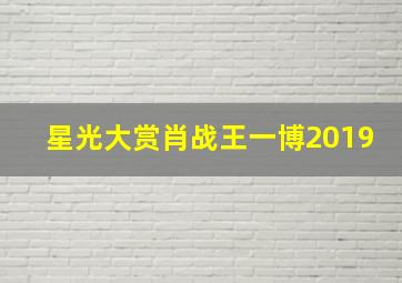 星光大赏肖战王一博2019