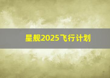 星舰2025飞行计划