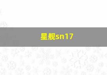 星舰sn17