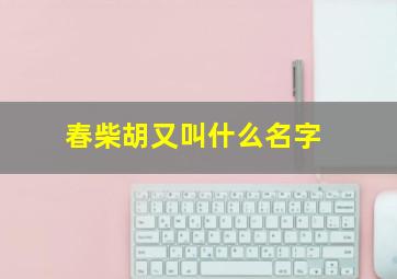 春柴胡又叫什么名字