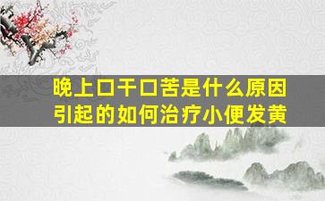 晚上口干口苦是什么原因引起的如何治疗小便发黄