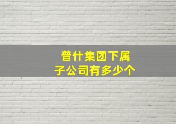 普什集团下属子公司有多少个