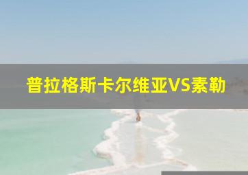 普拉格斯卡尔维亚VS素勒