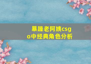 暴躁老阿姨csgo中经典角色分析