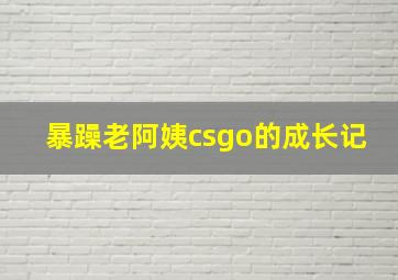 暴躁老阿姨csgo的成长记