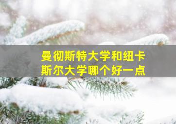 曼彻斯特大学和纽卡斯尔大学哪个好一点