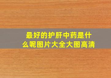 最好的护肝中药是什么呢图片大全大图高清