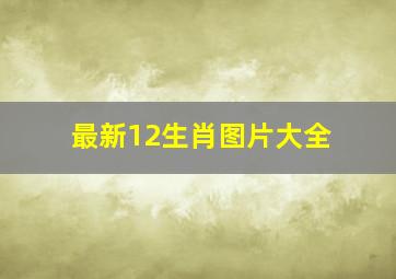 最新12生肖图片大全