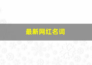 最新网红名词