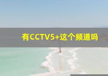 有CCTV5+这个频道吗