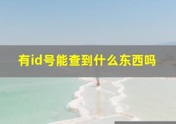 有id号能查到什么东西吗