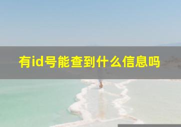 有id号能查到什么信息吗