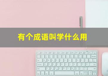 有个成语叫学什么用